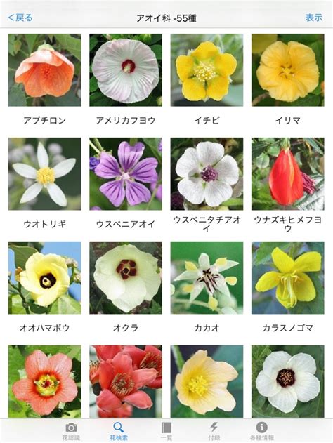 花 種類|花の名前一覧（名前や開花時期、画像から検索） 